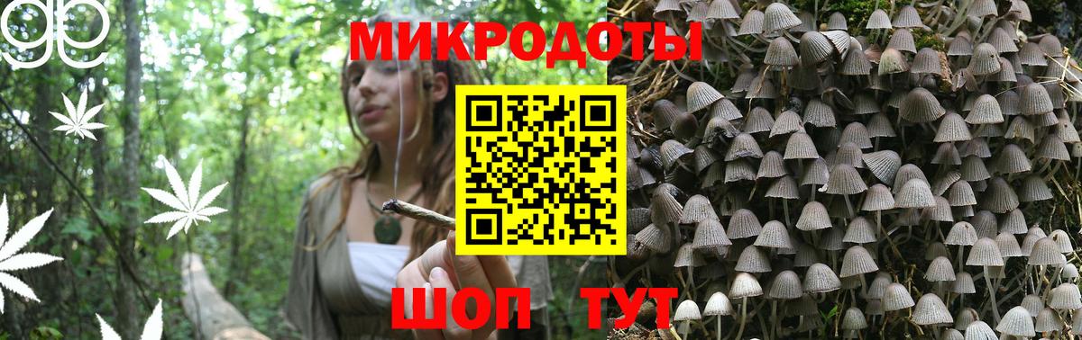 Кропоткин  Псилоцибиновые грибы прущие грибы  Вход с VPN  Псилоцибиновые грибы мухоморы 
