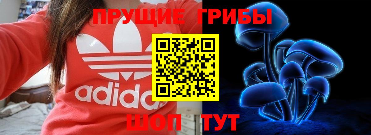 Псилоцибиновые грибы мухоморы Кропоткин